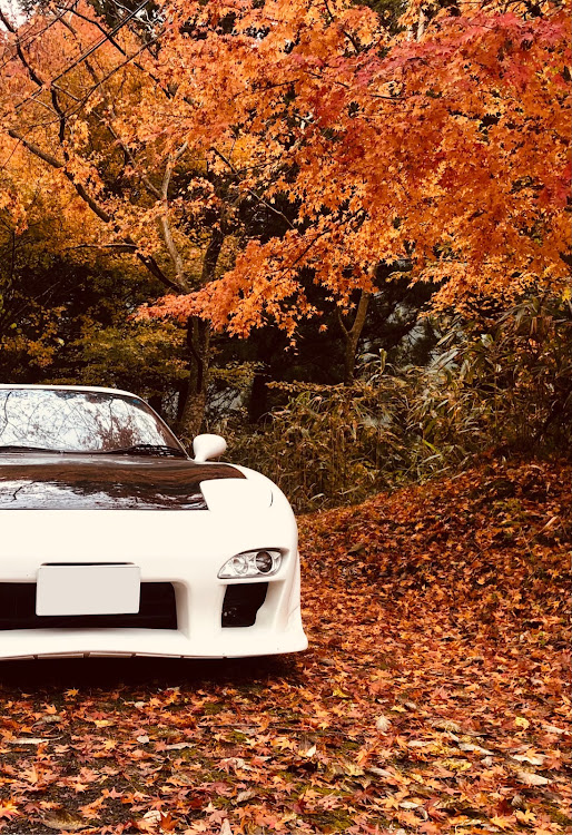 RX-7の紅葉に関するカスタム事例の投稿画像1枚目