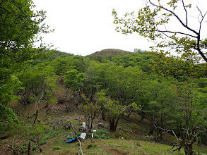 ここから登りに