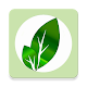 Download Adiel Weed Plants Identification For PC Windows and Mac