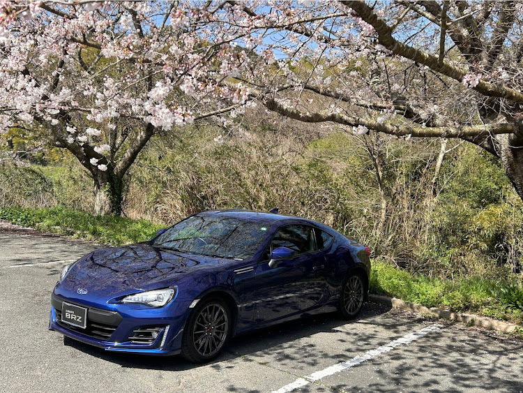 BRZの桜とコラボ・春ですね・iPhone無加工クオリティに関するカスタム事例の投稿画像3枚目
