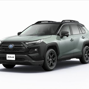 RAV4 AXAH54