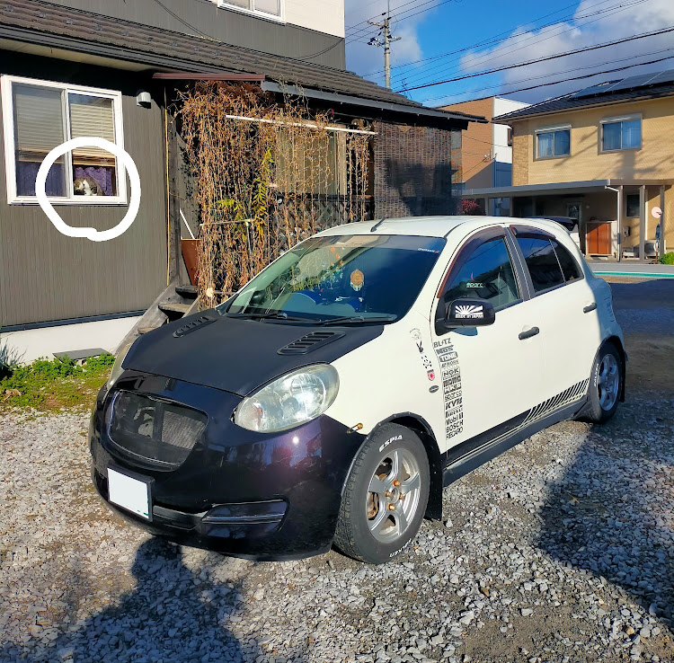 マーチのいつもイイね＆コメントありがとうございます😆・610Walker’s・愛猫達の呟き💞・自然のチカラ✨に関するカスタム事例の投稿画像1枚目