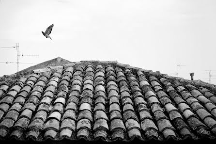 Wedding photographer Danilo Coluccio (danilocoluccio). Photo of 25 August 2021