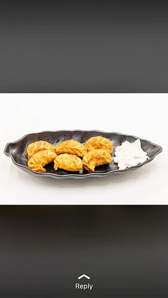 Paneer Fried Momo [7 Pcs]