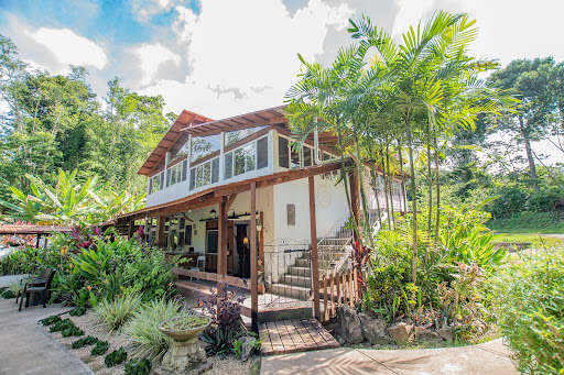 Maison avec piscine et jardin 5