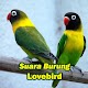 Download Suara Burung Lovebird Materan For PC Windows and Mac 1.0