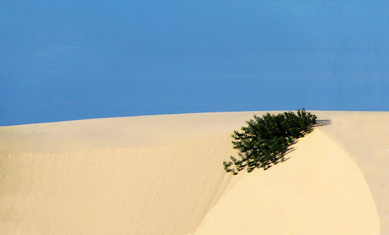 Dune di GiBi