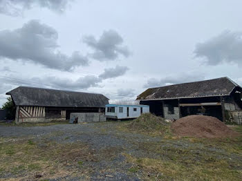 ferme à Branville (14)