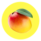 Poke a Mango Download on Windows