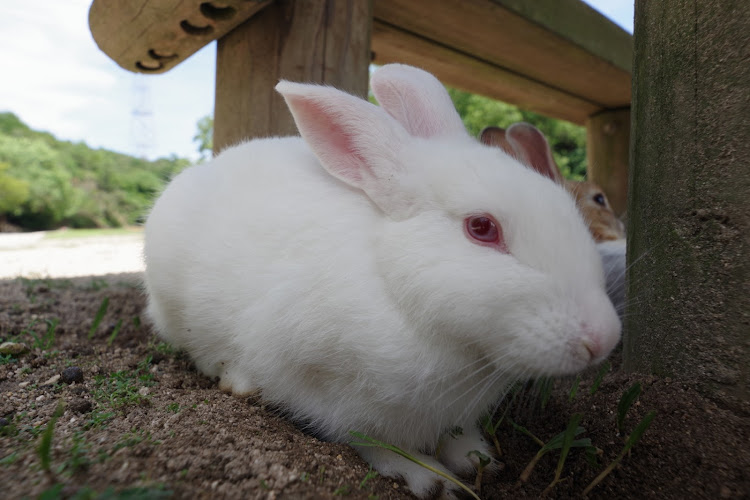 の投稿画像19枚目