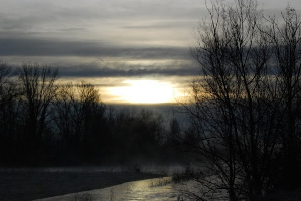 Alba sul ticino di sara.murru