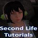 APKFUN Second Life Tutorials Download on Windows