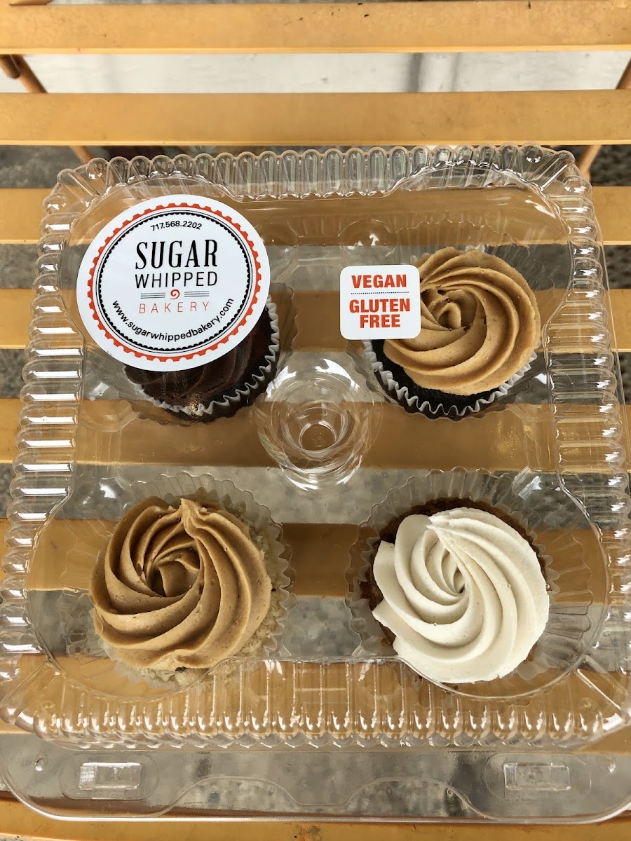 Gluten-Free Cupcakes at Sugar Whipped Bakery