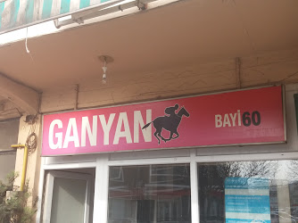 Ganyan Bayi