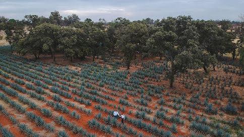 Fotógrafo de casamento José Angel Gutiérrez (joseangelg). Foto de 8 de junho 2020