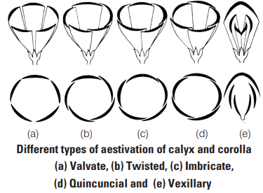 Solution Image