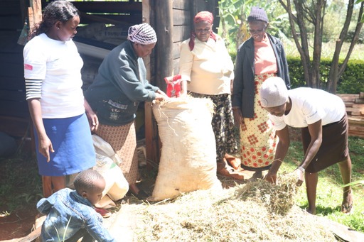 Women dairy farmers learn how to mix fodder. Coordinator Robela Cheptanui says members become self-sufficient in dairy feeds after learning how to grow and prepare them.