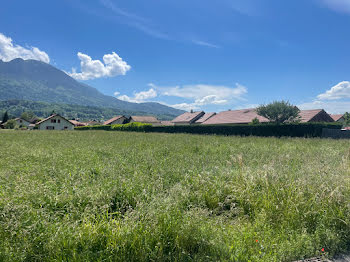 terrain à Saint-Pierre-en-Faucigny (74)