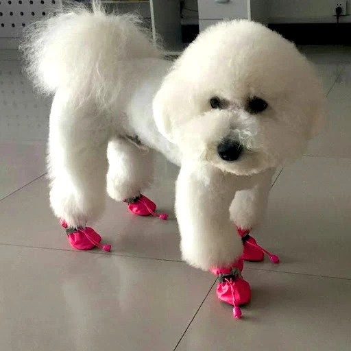 Pet Dog Shoes Waterproof Antiskid Puppy Shoes Chihuahua Walking Boots Winter Warm Corduroy Puppy Cat Socks Pet Paw Acces