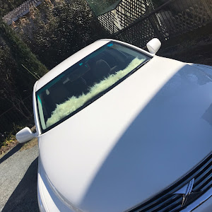 マークX