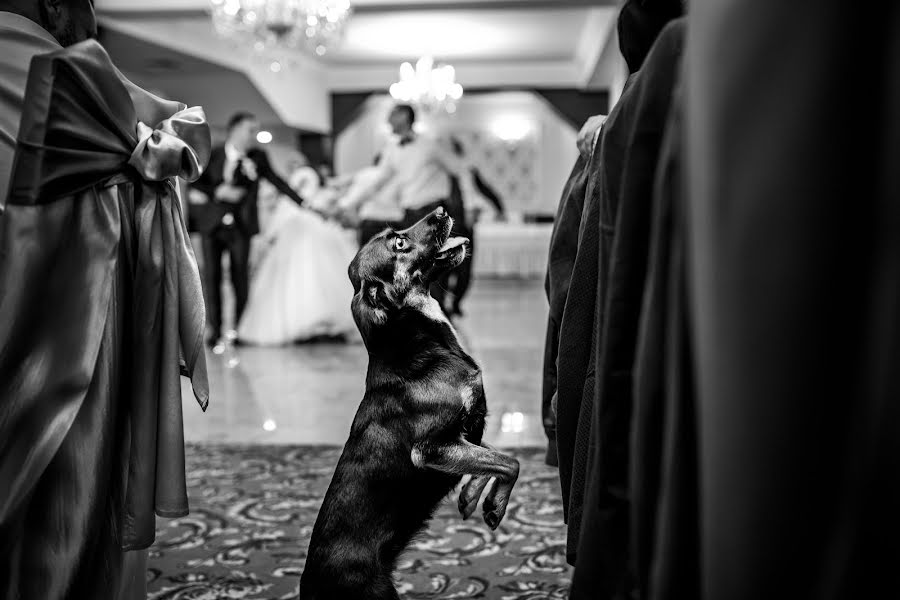 Fotógrafo de casamento Alin Pirvu (alinpirvu). Foto de 15 de janeiro 2018