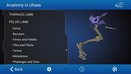 免費下載醫療APP|Osteology in Dogs app開箱文|APP開箱王