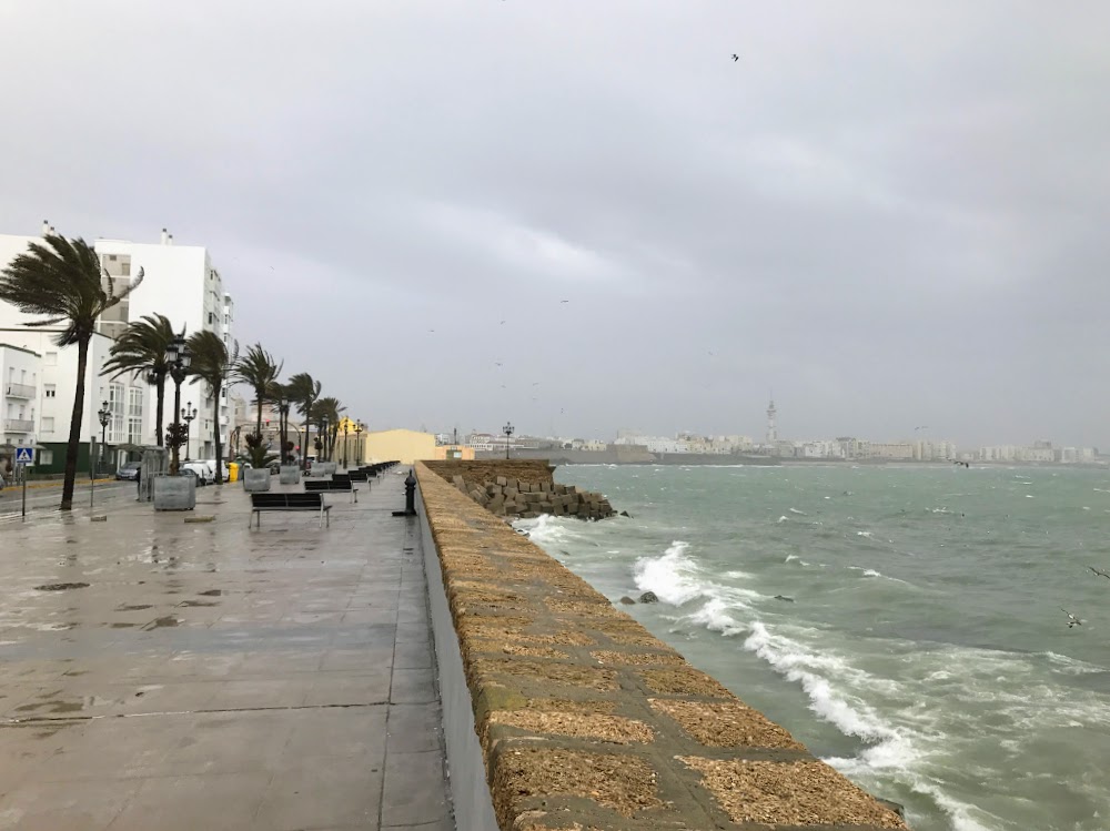 Весна в подарок (Мадрид, Андалусия, март 2018 года на общественном транспорте)