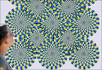 Moving%20Pattern%20Trick%20your%20eyes.jpg