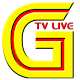 Download GTV Live For PC Windows and Mac 3.0