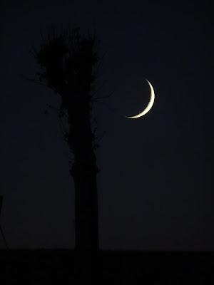 Solo uno spicchio di luna di lenuccia4