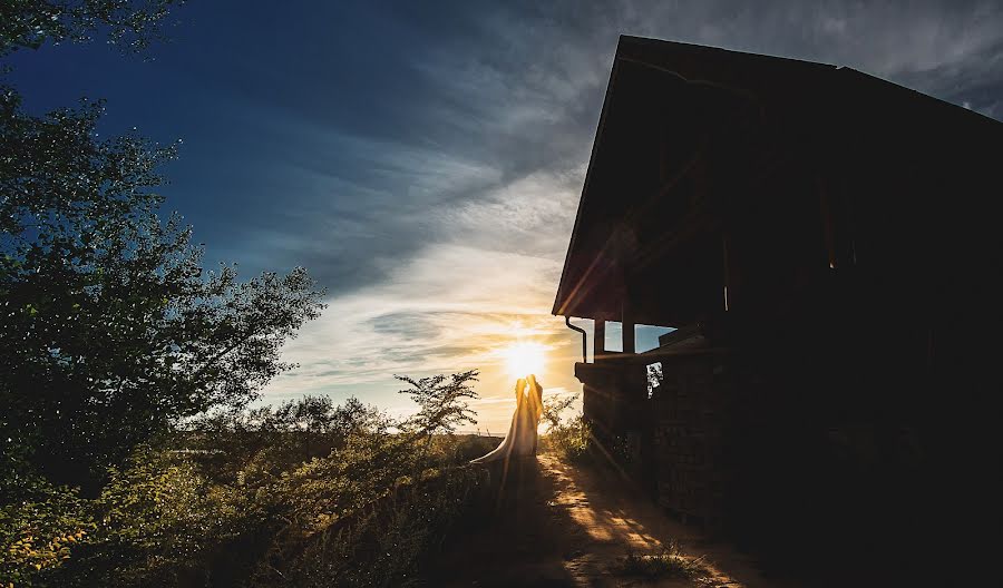 Wedding photographer Olga Shok (olgashok). Photo of 20 August 2015