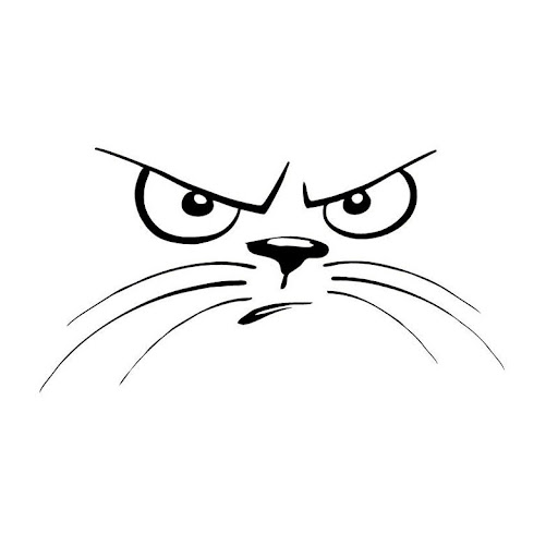 Title 1, J-078 Not Happy Cat Face Animal Car Stickers, s...