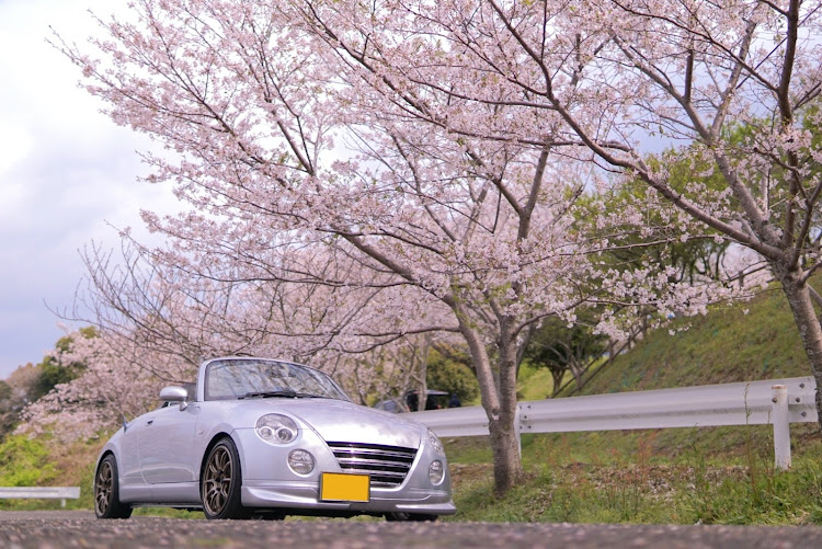 コペンの桜と愛車・桜とコラボ・いじりというか修理・テストドライブ・直ったぁー😁に関するカスタム事例の投稿画像1枚目
