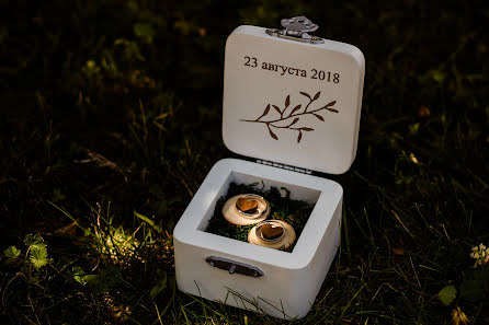 Wedding photographer Olga Yashnikova (yashnikovaolga). Photo of 28 February 2019