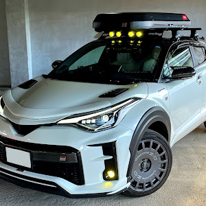 C-HR ZYX11