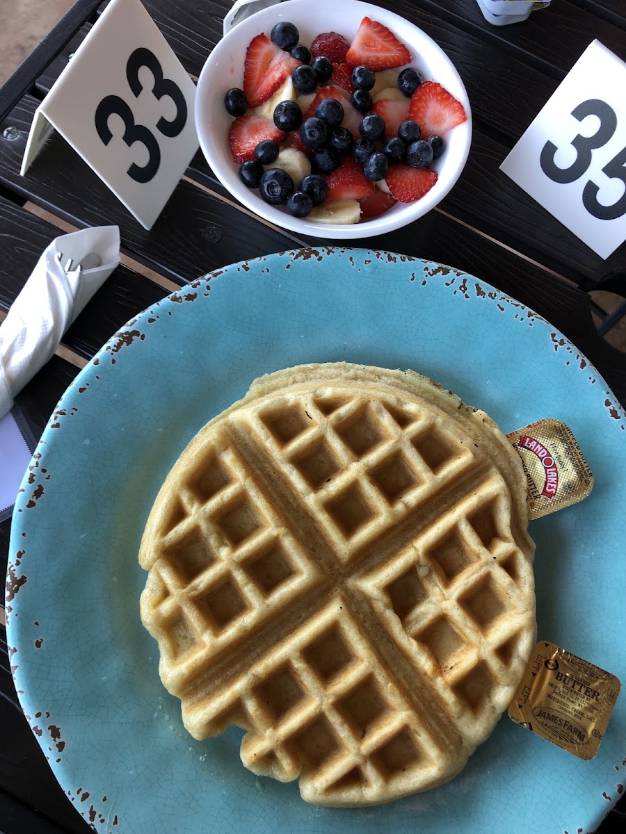 I like to start plain and work my way up... a delicious GF waffle with a side of fruit!