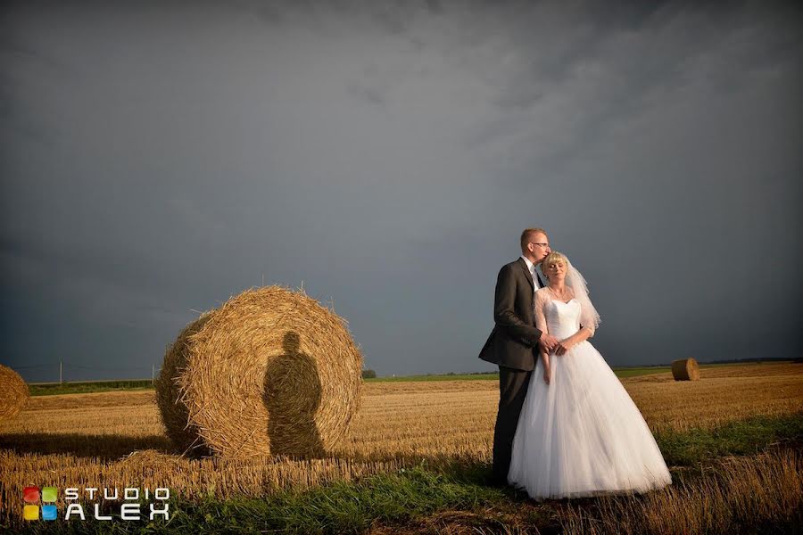 Hochzeitsfotograf Roman Syg (studioalex). Foto vom 25. Februar 2020