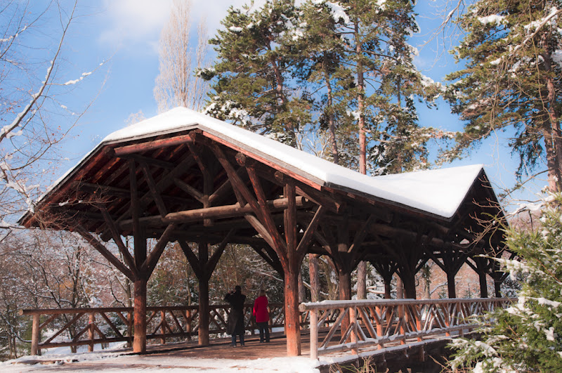 petit pont de bois... 20101204_13_pont_bois_DSC5117