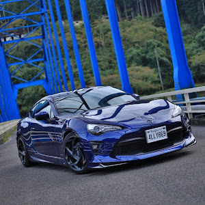 86 ZN6