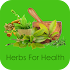 Herbs For Health1.5