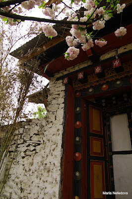 Бутан, апрель 2011: Паро-Пунакха-Тронгса-Бумпанг-Тхимпху