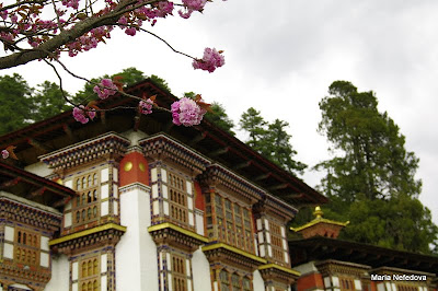 Бутан, апрель 2011: Паро-Пунакха-Тронгса-Бумпанг-Тхимпху