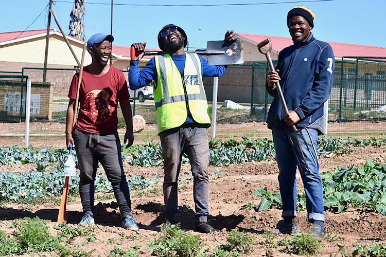 From left to right: Mendo Vece, Siyabulela Booysen and Sakhumzi Mbaduli developed a food garden during the Covid-19 lockdown.