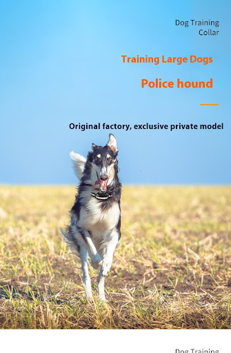 Title 3, Remote Control Dog Trainer Voice Control Bark S...