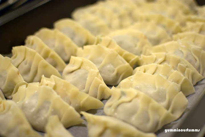 Pork and Chives Dumplings Gao Ji wrapped