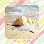 Cover Image of Download Shell Wallpaper HD 7.1.1 APK