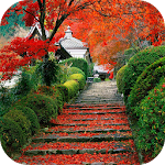 Cover Image of Download Autumn Wallpapers 7.3.1 APK