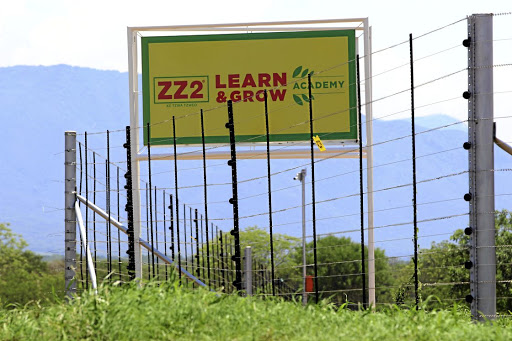 Tomato producer ZZ2 in Mooketsi, outside Tzaneen.