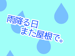 雨降る日また屋根で。