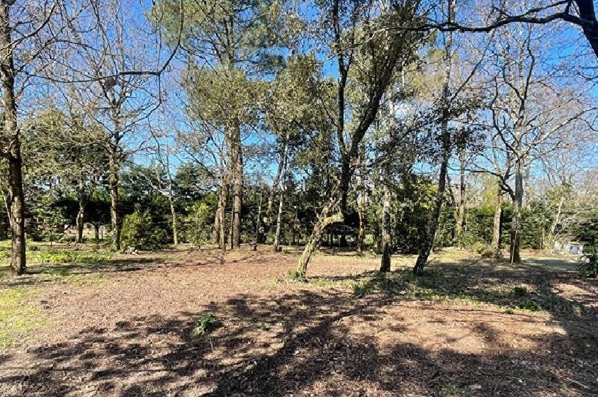 Vente terrain  720 m² à Saint-Jean-de-Monts (85160), 151 900 €